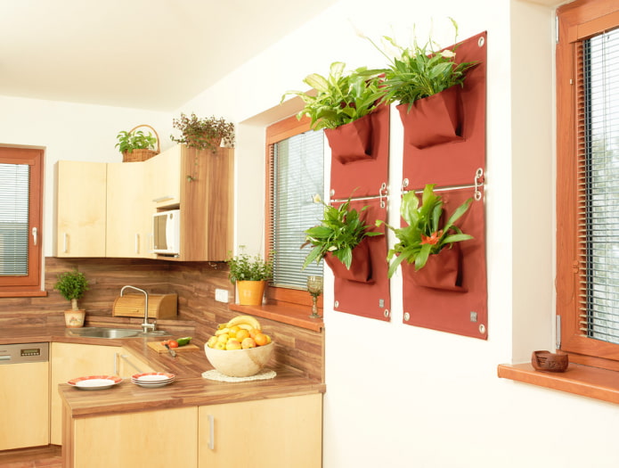 plantes sur le mur à l'intérieur de la cuisine