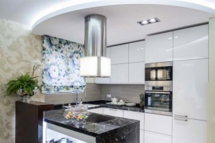 Plafond en placoplâtre dans la cuisine: design, photo