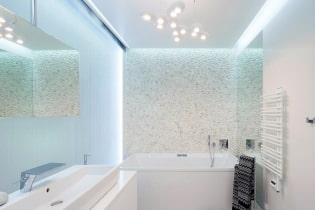 L'intérieur de la salle de bain dans un style moderne: 60 meilleures photos et idées de design