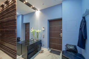 Comment réaliser un hall d'entrée dans un appartement: idées de design, agencement et agencement