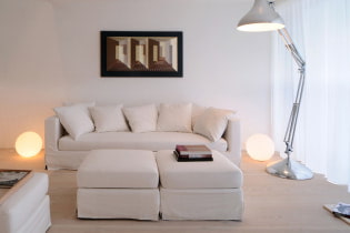 Canapé blanc à l'intérieur: 70 photos modernes et idées de design