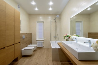 Éclairage dans la salle de bain: conseils de sélection, agencement, idées de design