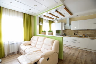 Conception de cuisine-salon 20 m². m. - photo à l'intérieur, exemples de zonage