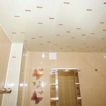 Panneaux PVC pour la salle de bain: avantages et inconvénients, caractéristiques de choix, design 7
